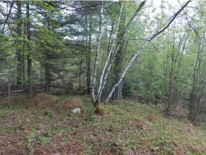 - Maxfield Road Irasburg, VT 05845 - Photo 10 of 15