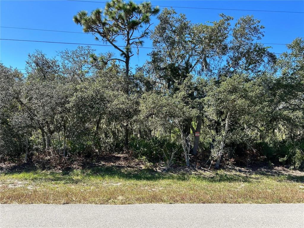 Woodstork Way Frostproof, FL 33843 - Photo 11 of 18 a view of a wooden house with a yard