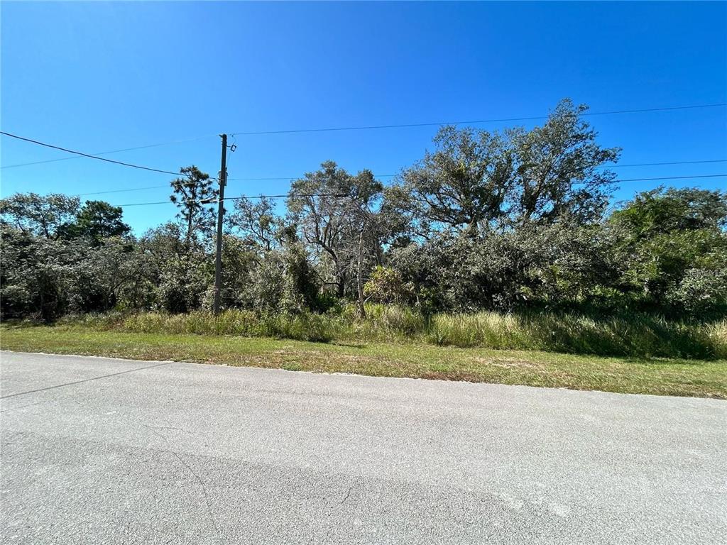 Woodstork Way Frostproof, FL 33843 - Photo 17 of 18 a view of a field with a tree in the background