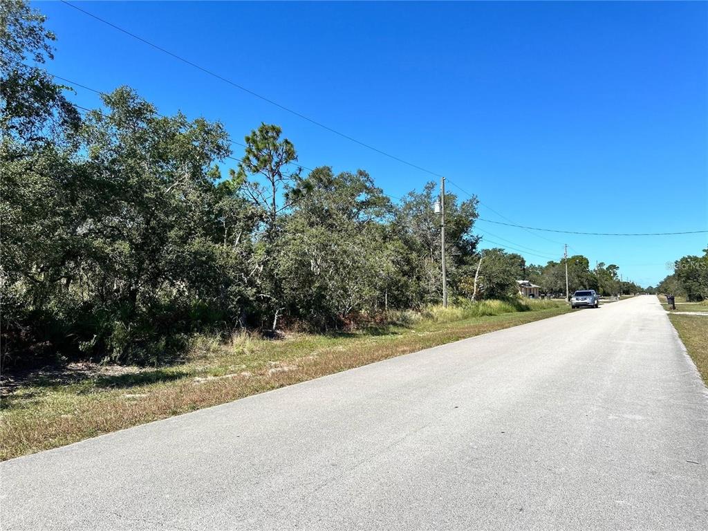 Woodstork Way Frostproof, FL 33843 - Photo 4 of 18 a view of a road with a yard