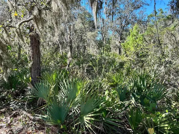 $85,500 | Woodstork Way, Frostproof, FL 33843
