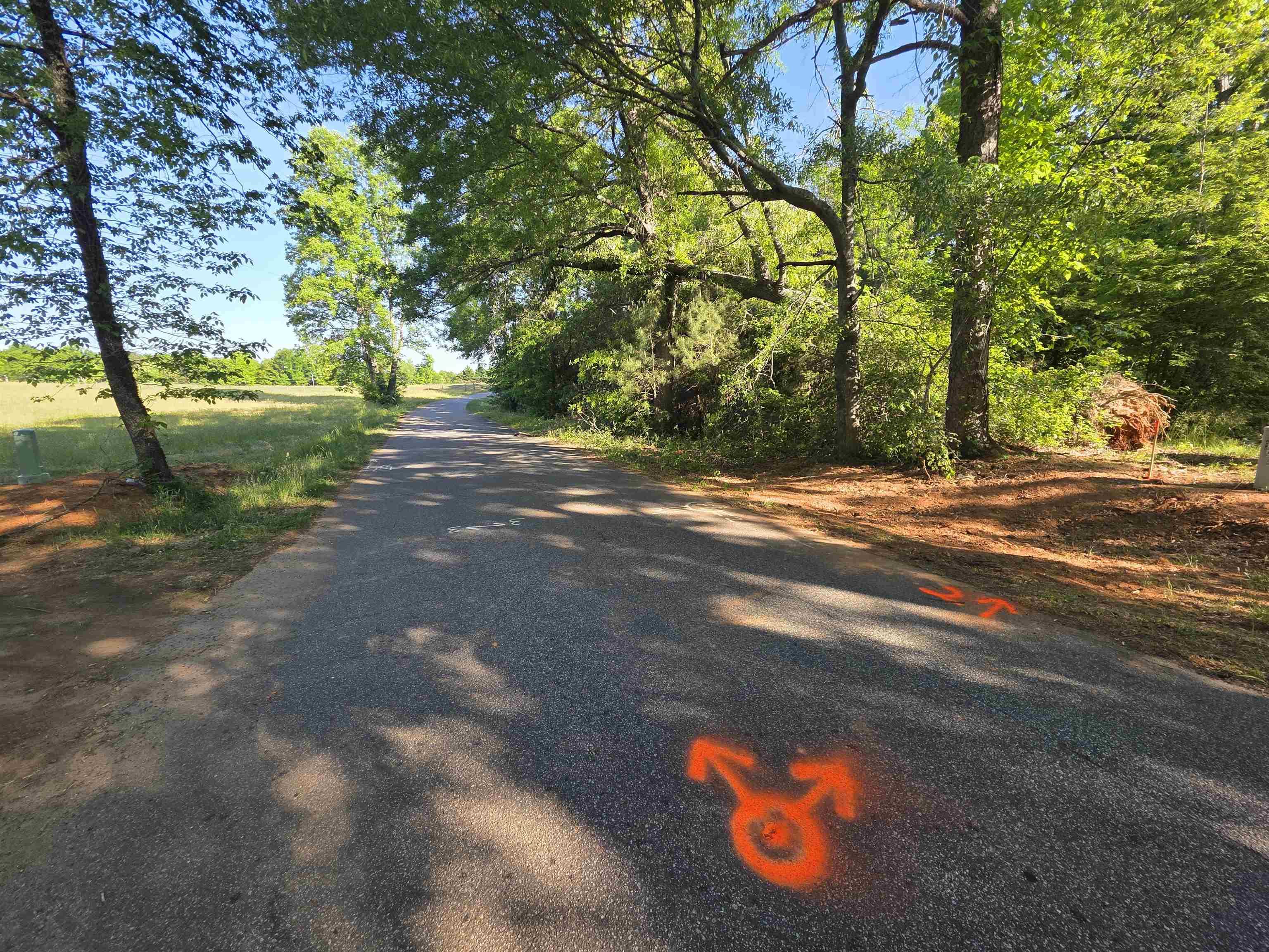 326 Aldrich Road Chesnee, SC 29323 - Photo 3 of 5