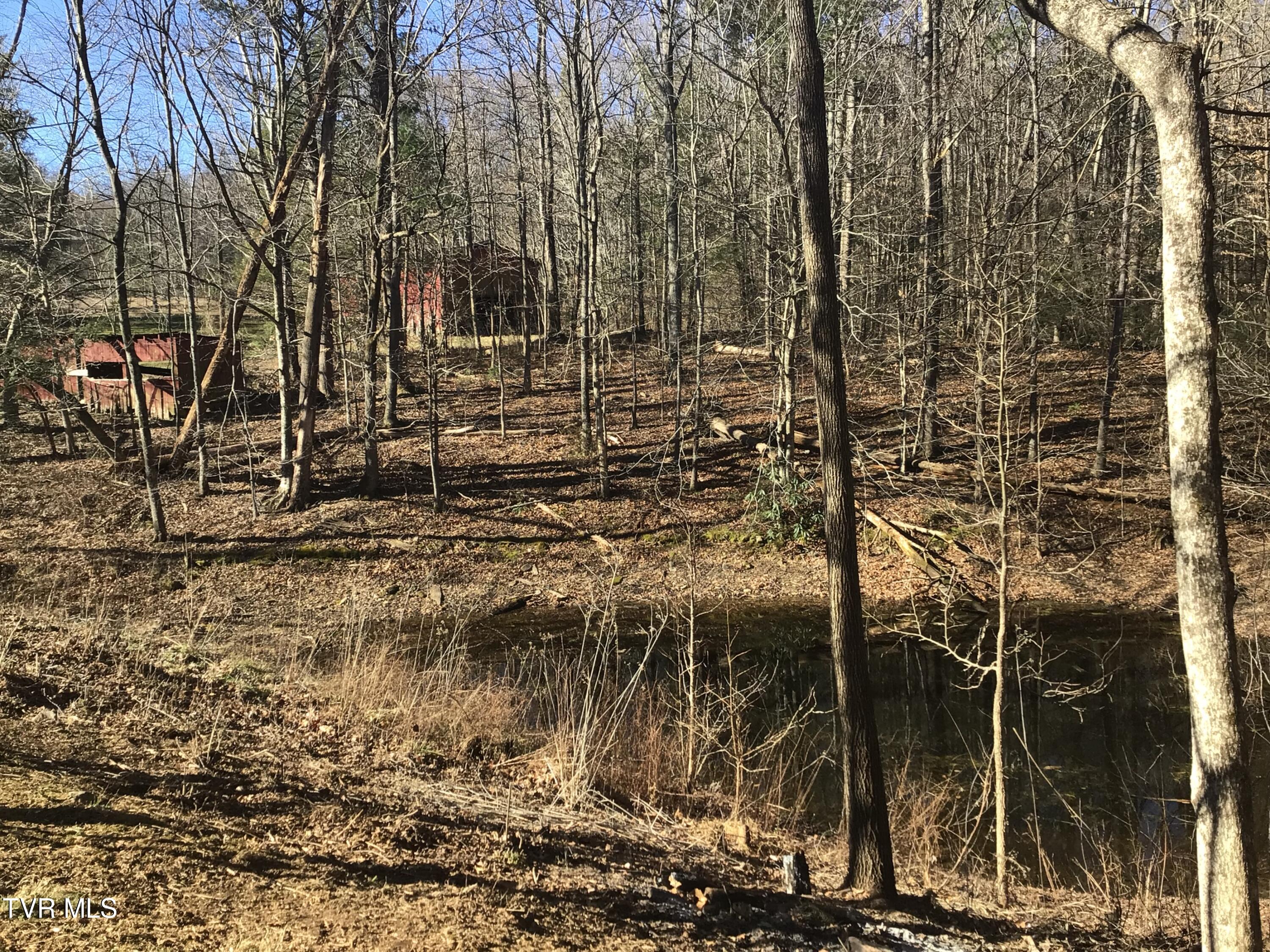 251 Bearfield Road Chuckey, TN 37641 - Photo 29 of 83 IMG_0968