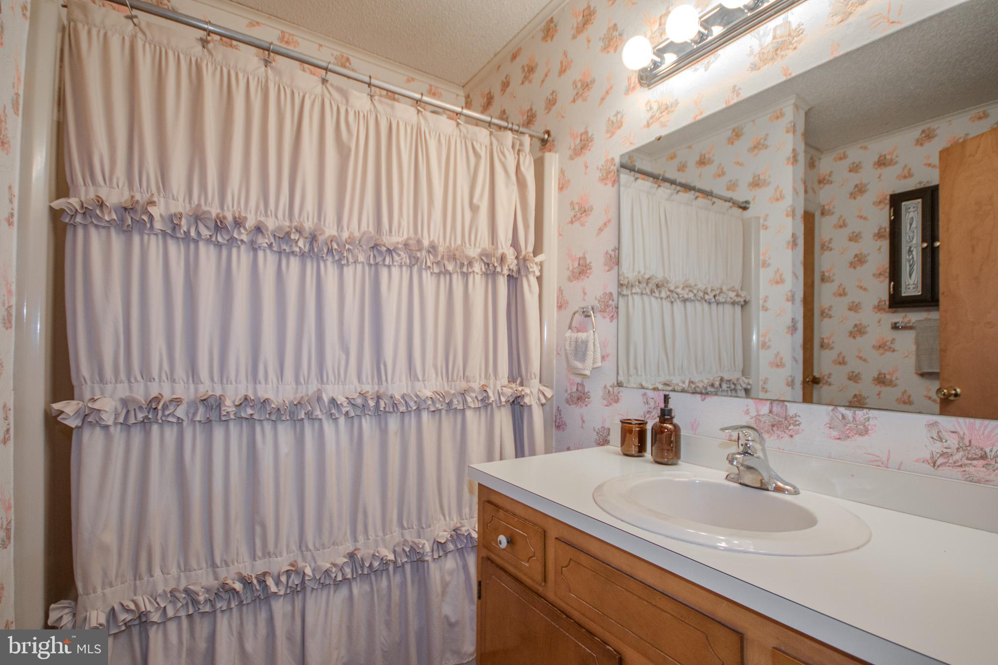 7218 Walston Switch Road Parsonsburg, MD 21849 - Photo 14 of 28 a bathroom with a sink and a mirror