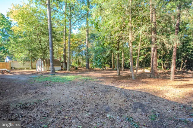 a view of outdoor space with trees