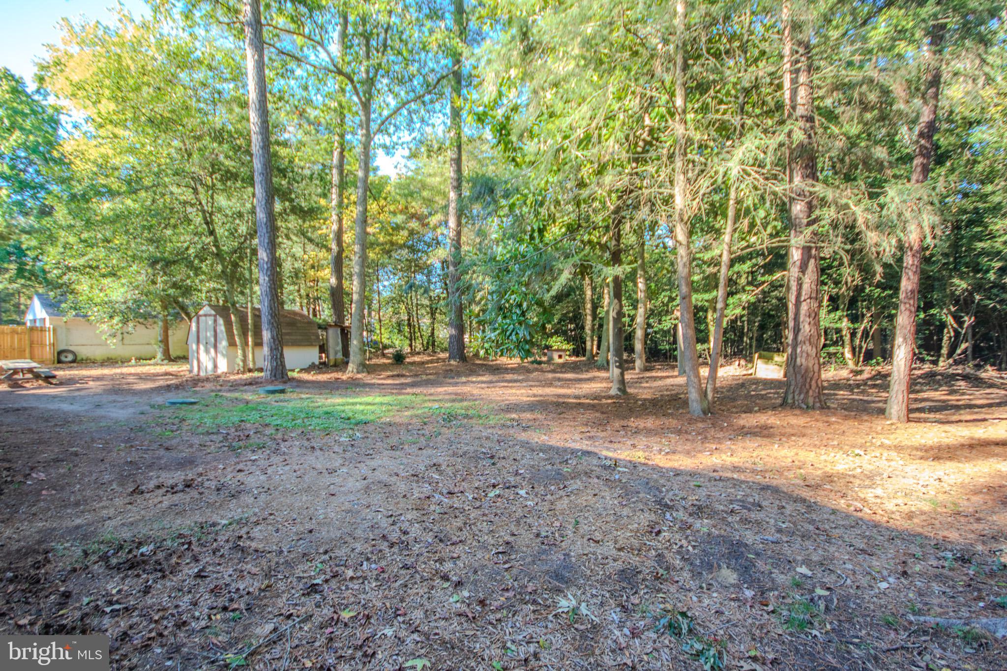 7218 Walston Switch Road Parsonsburg, MD 21849 - Photo 25 of 28 a view of a tree in the middle of a yard