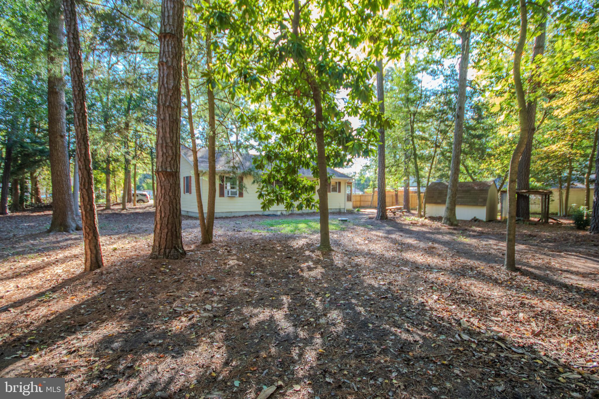 7218 Walston Switch Road Parsonsburg, MD 21849 - Photo 26 of 28 a view of outdoor space with trees