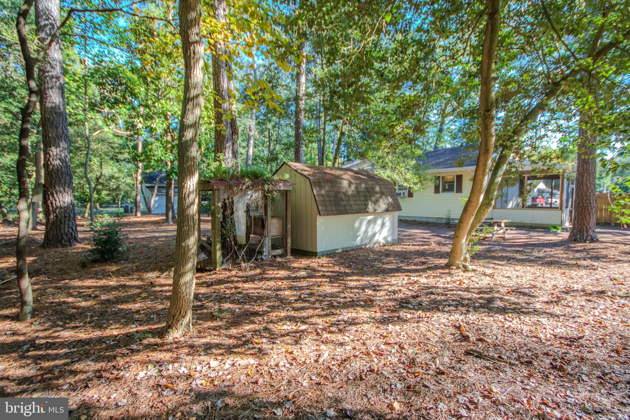 7218 Walston Switch Road Parsonsburg, MD 21849 - Photo 27 of 28 a backyard of a house with lots of green space