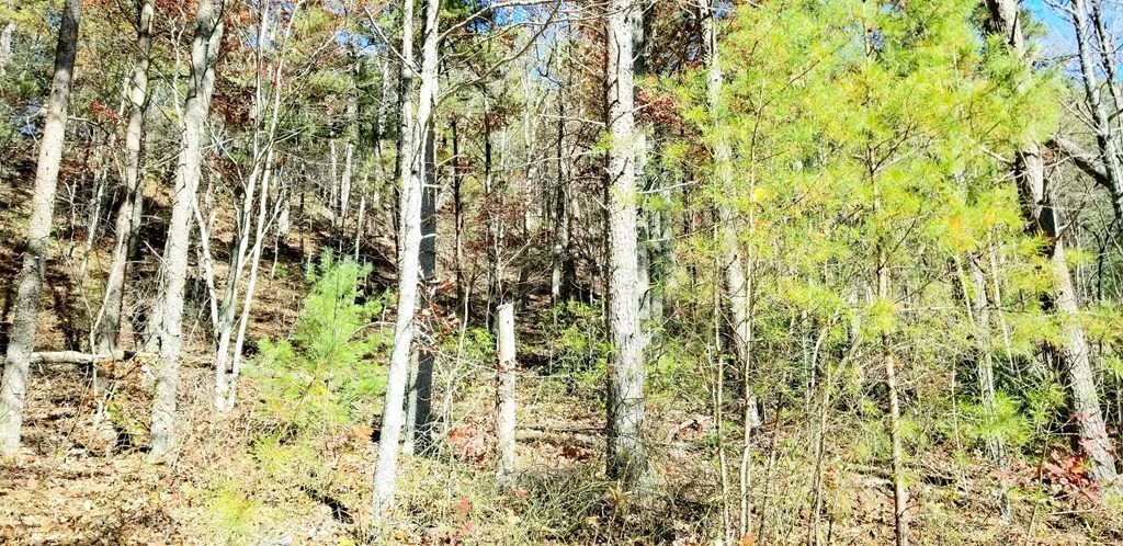 0 Happy Hollow Road Sevierville, TN 37862 - Photo 8 of 9