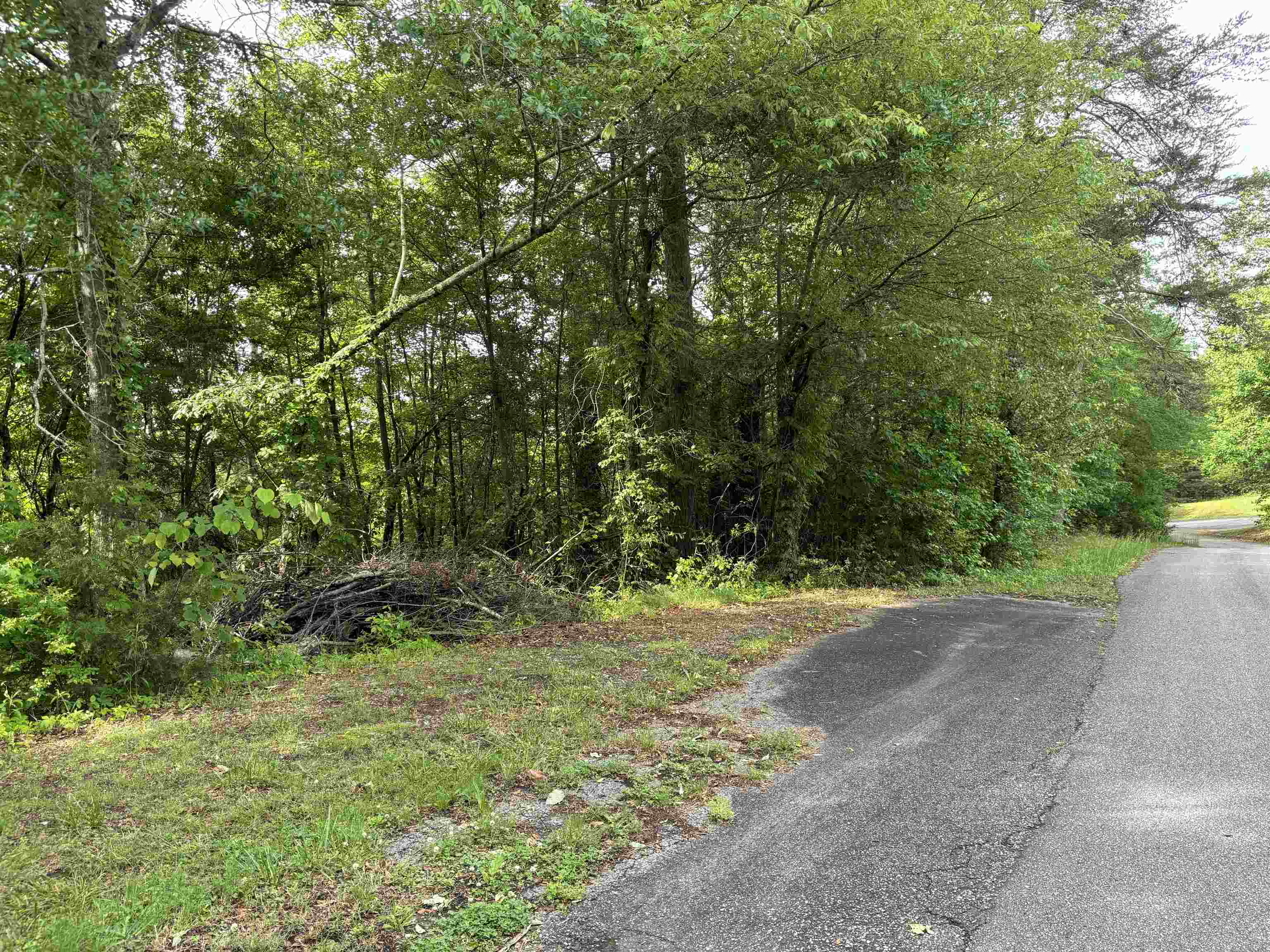 0 Whitaker Mountain Road Blacksburg, SC 29702 - Photo 13 of 15 Gallery Image 13