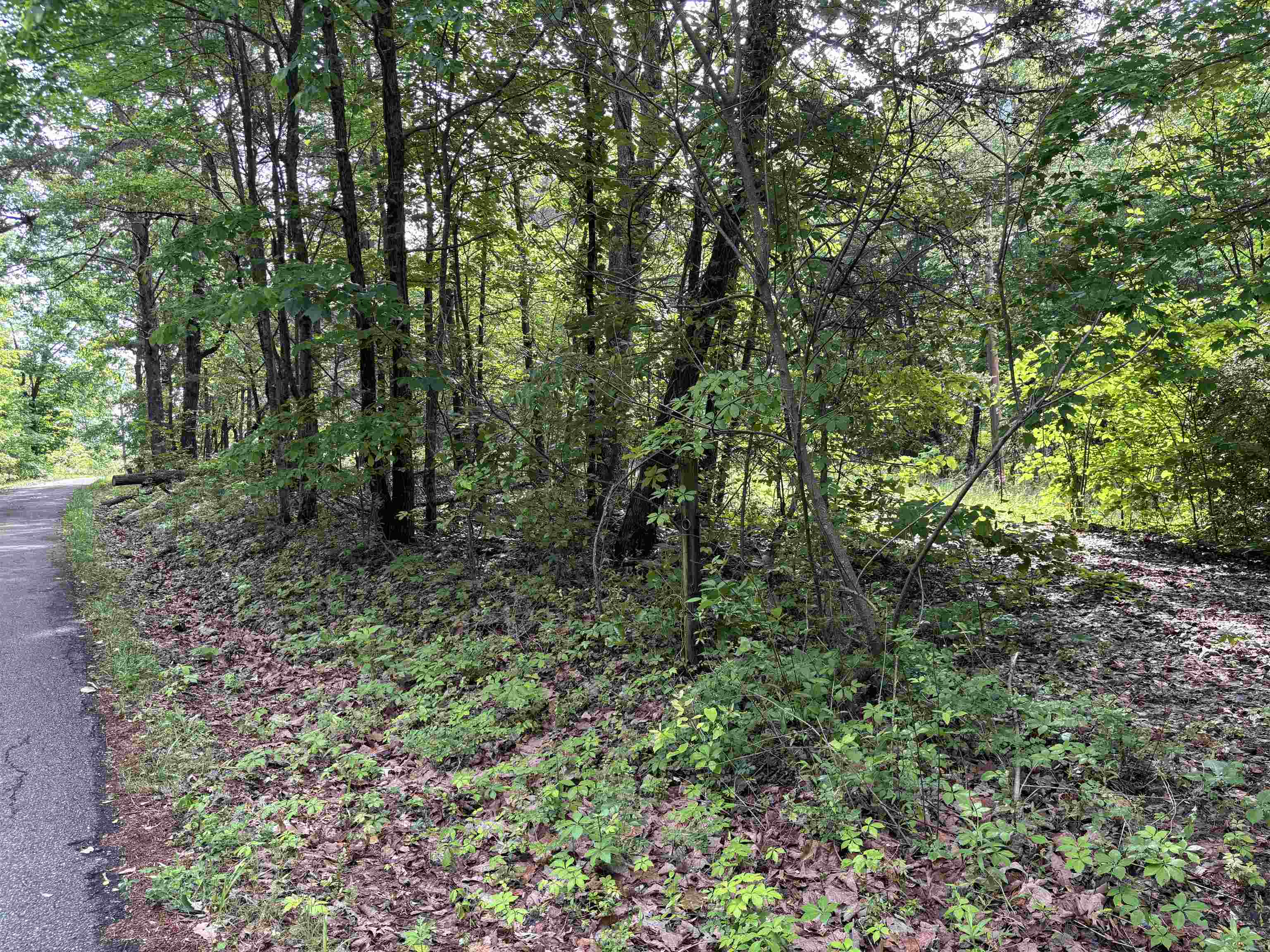0 Whitaker Mountain Road Blacksburg, SC 29702 - Photo 14 of 15 Gallery Image 14
