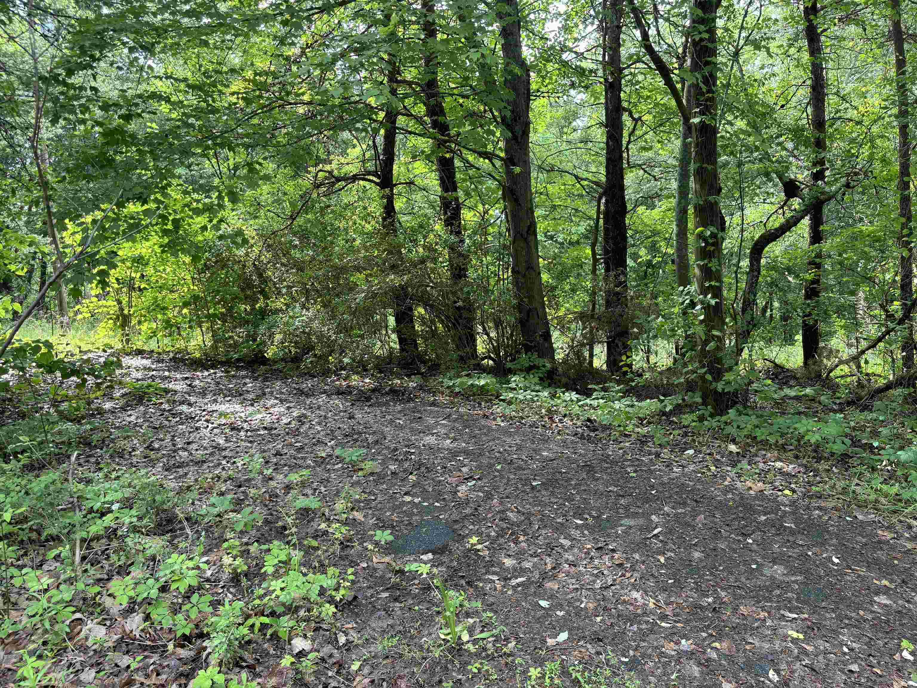 0 Whitaker Mountain Road Blacksburg, SC 29702 - Photo 15 of 15 Gallery Image 15