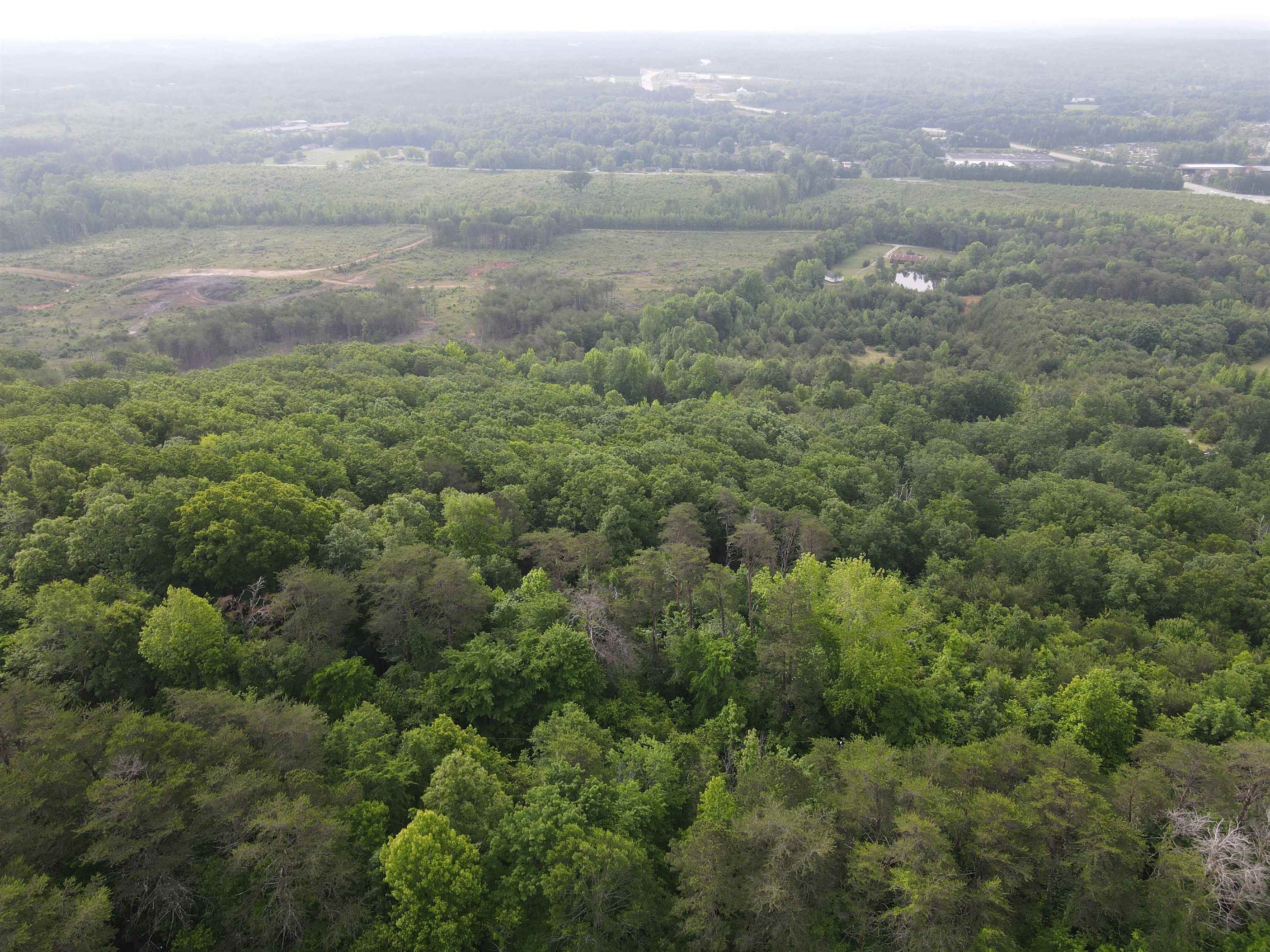 0 Whitaker Mountain Road Blacksburg, SC 29702 - Photo 3 of 15 Gallery Image 3