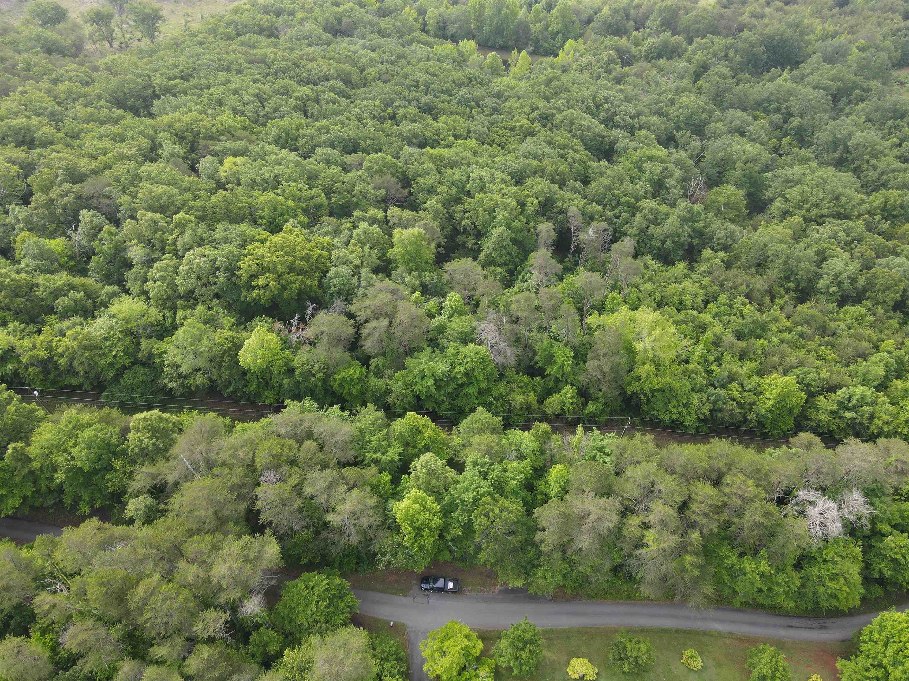 0 Whitaker Mountain Road Blacksburg, SC 29702 - Photo 4 of 15 Gallery Image 4