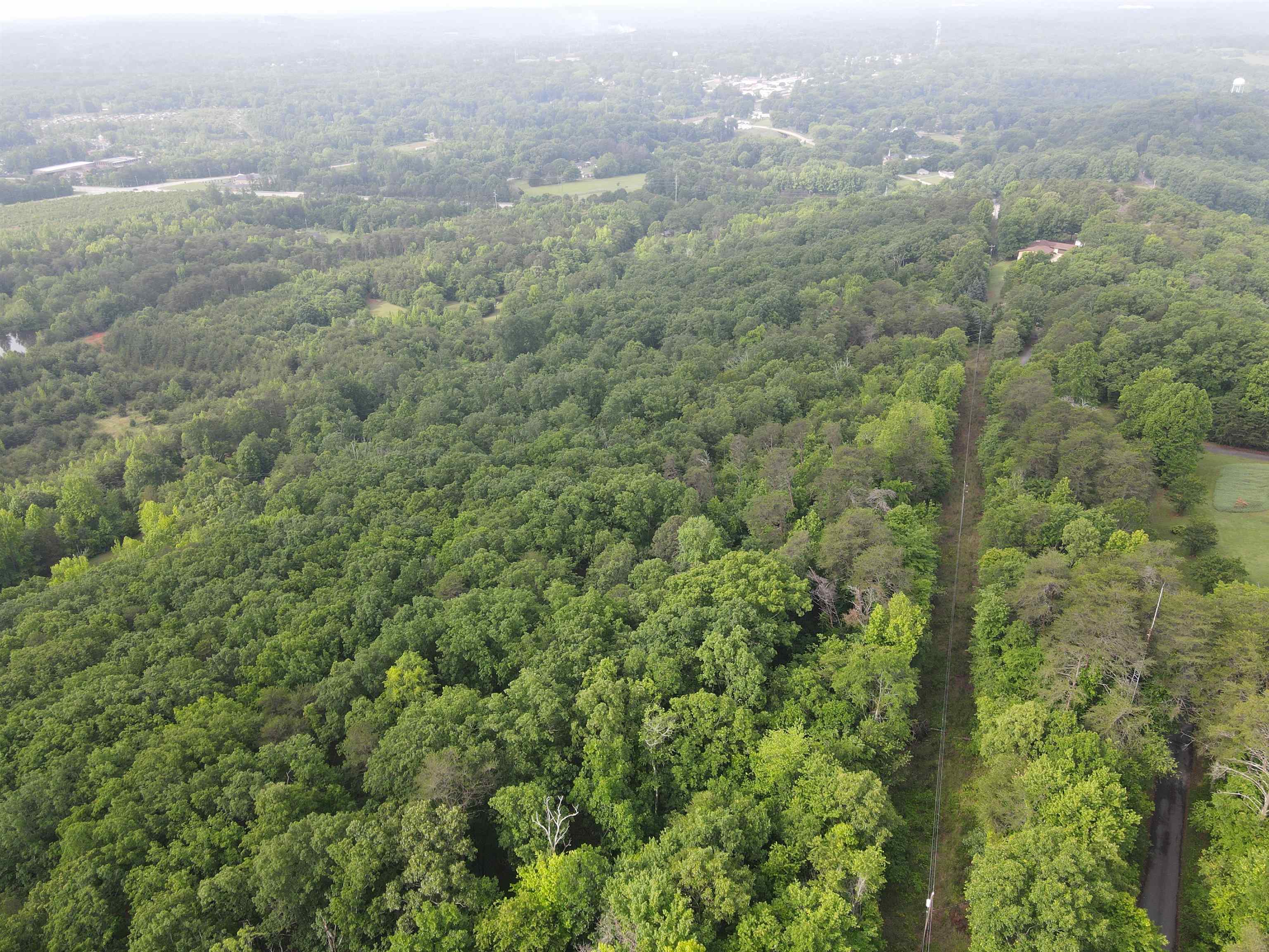 0 Whitaker Mountain Road Blacksburg, SC 29702 - Photo 8 of 15 Gallery Image 8