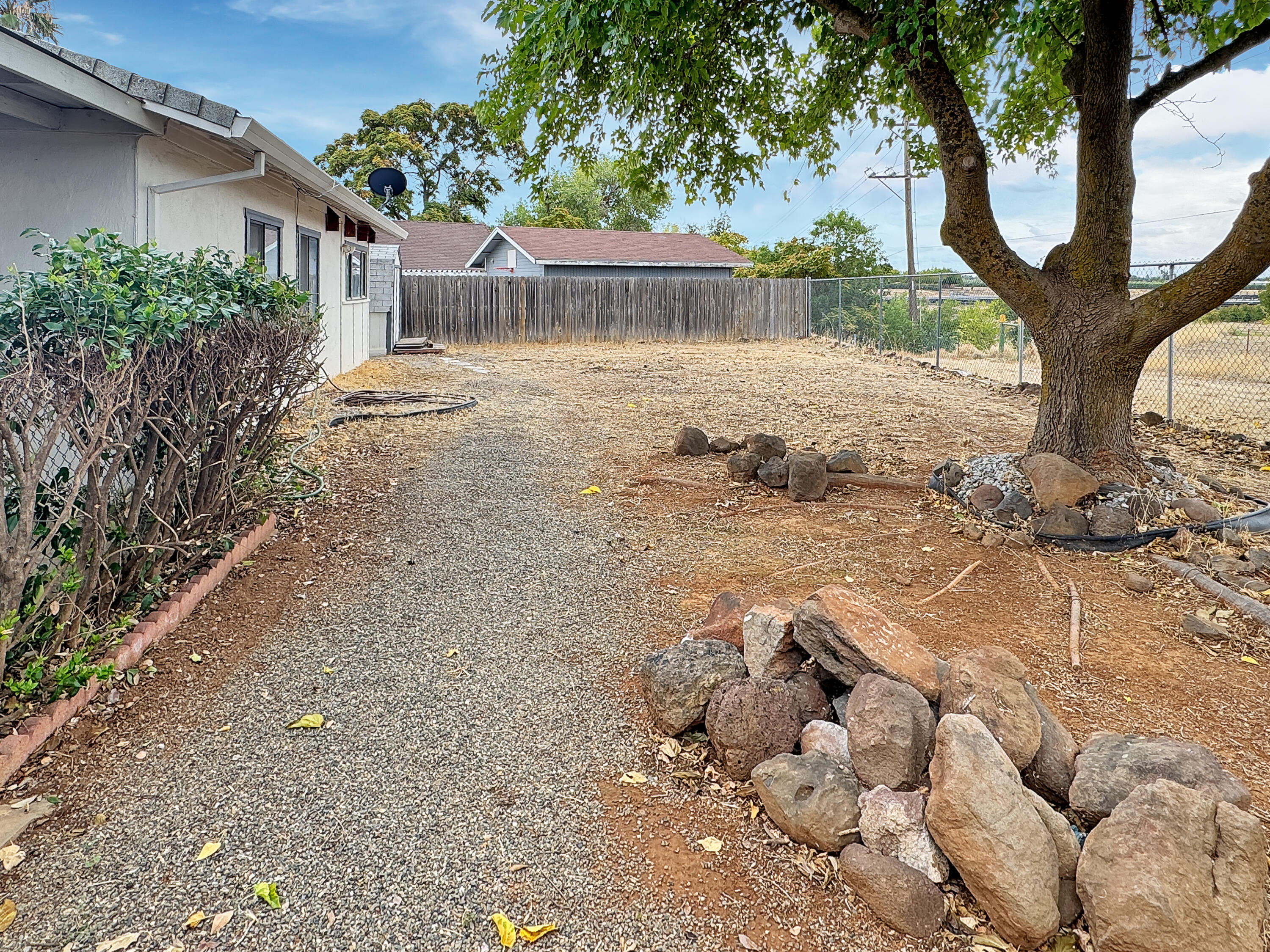 1865 Douglass Street Red Bluff, CA 96080 - Photo 20 of 24 a view of a yard with plants and a large tree