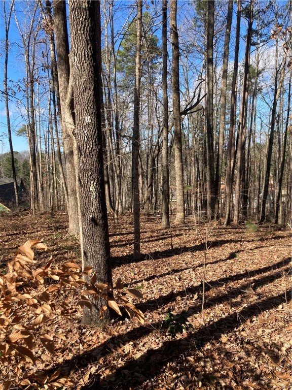 Lot 62 Keowee Overlook Road West Union, SC 29696 - Photo 3 of 17