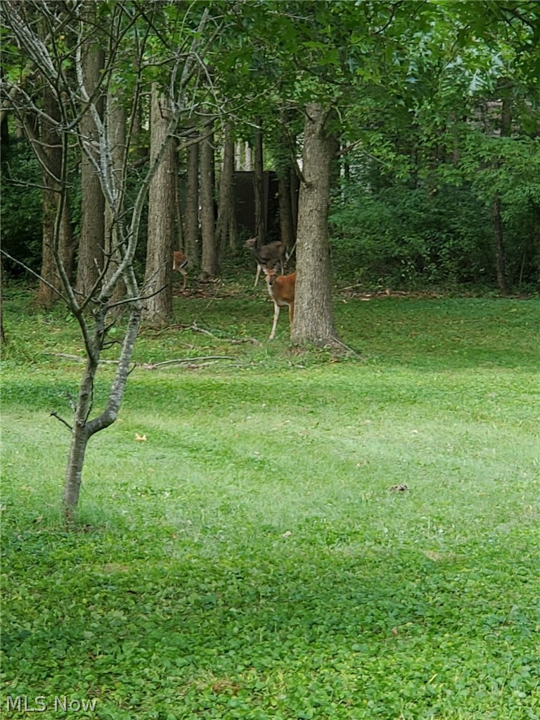 Middle Run Road Northwest Dover, OH 44622 - Photo 17 of 18 Gallery Image 17