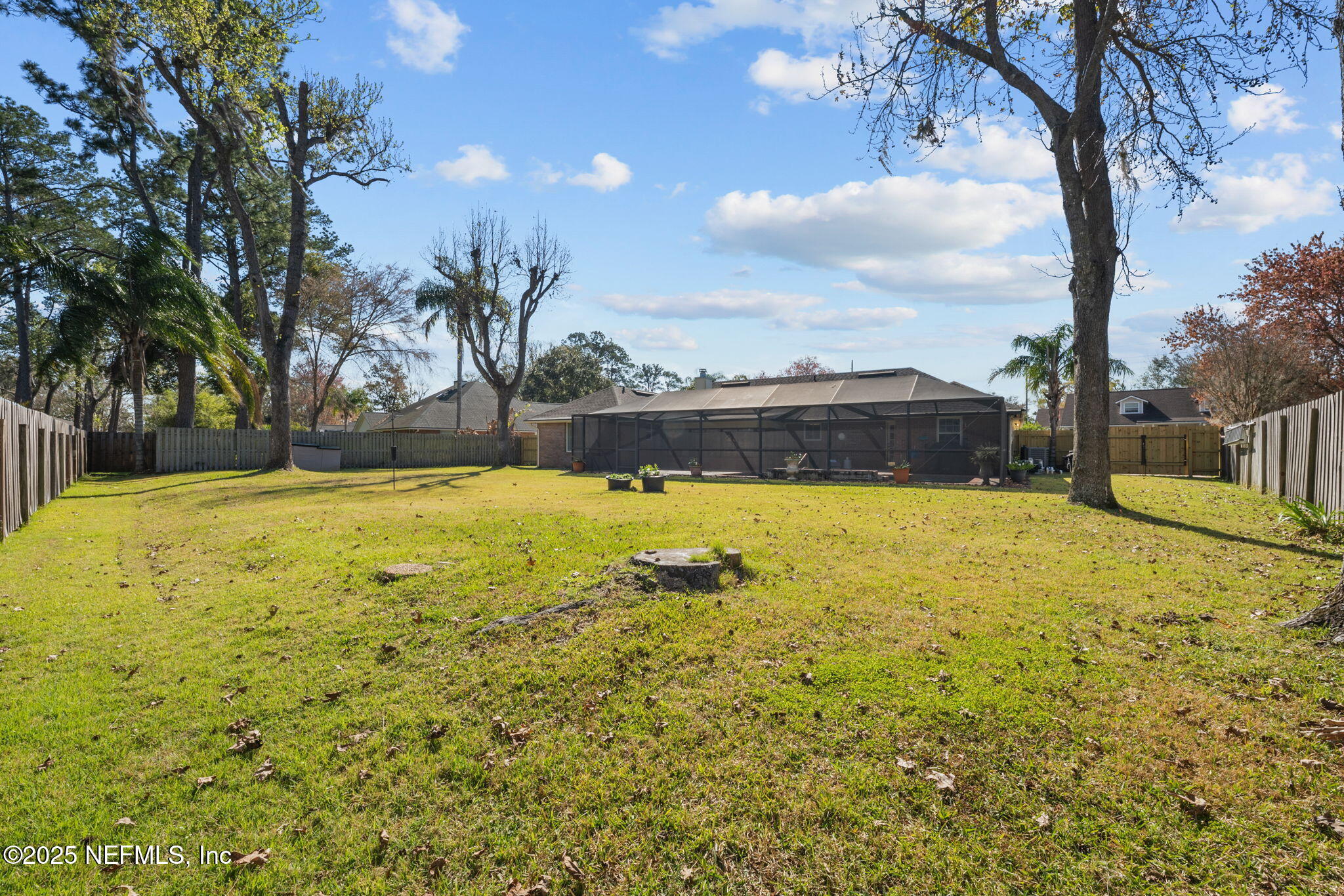 3046 Nautilus Road Middleburg, FL 32068 - Photo 38 of 49 Yard