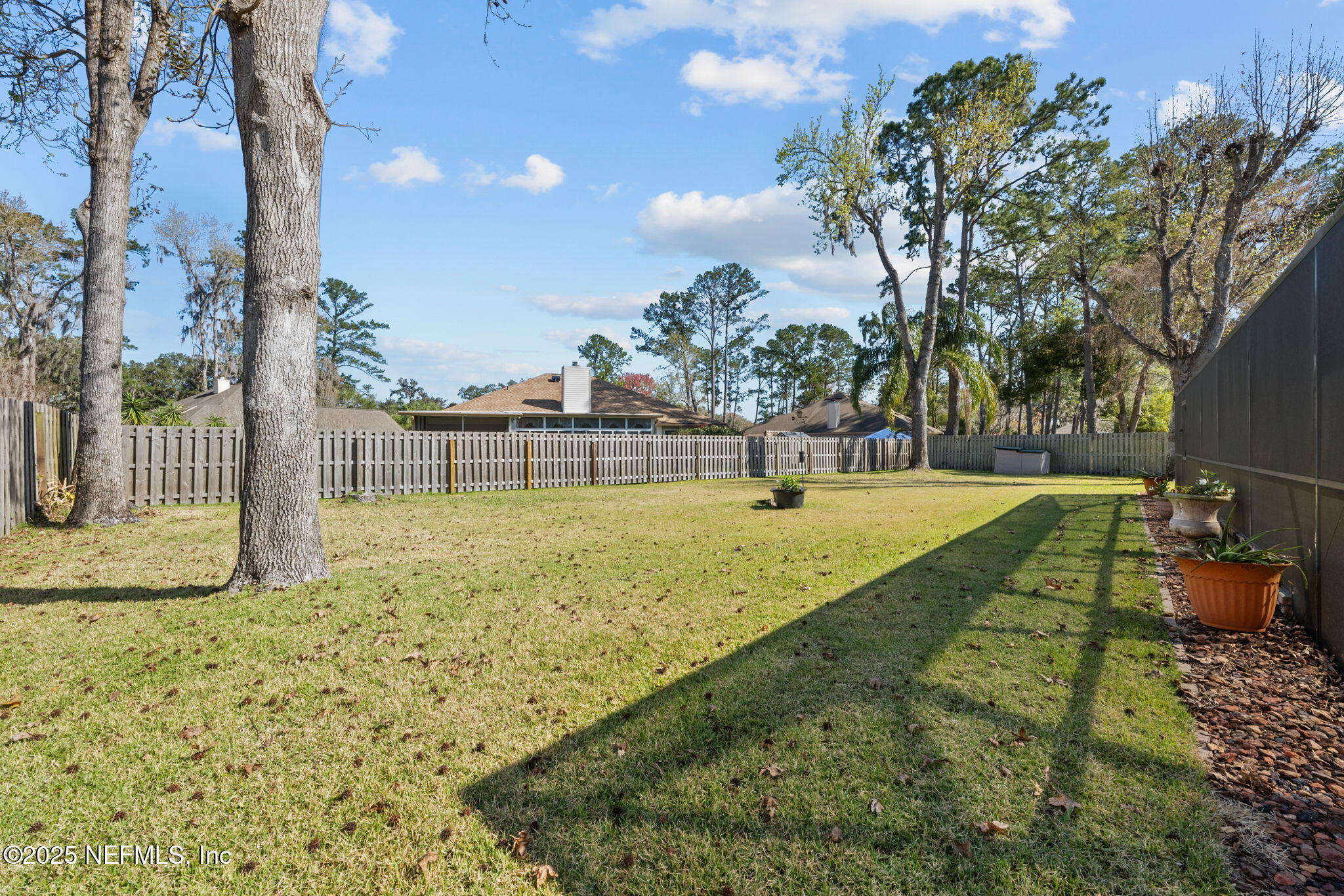 3046 Nautilus Road Middleburg, FL 32068 - Photo 40 of 49 back yard