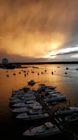 a view of city and lake