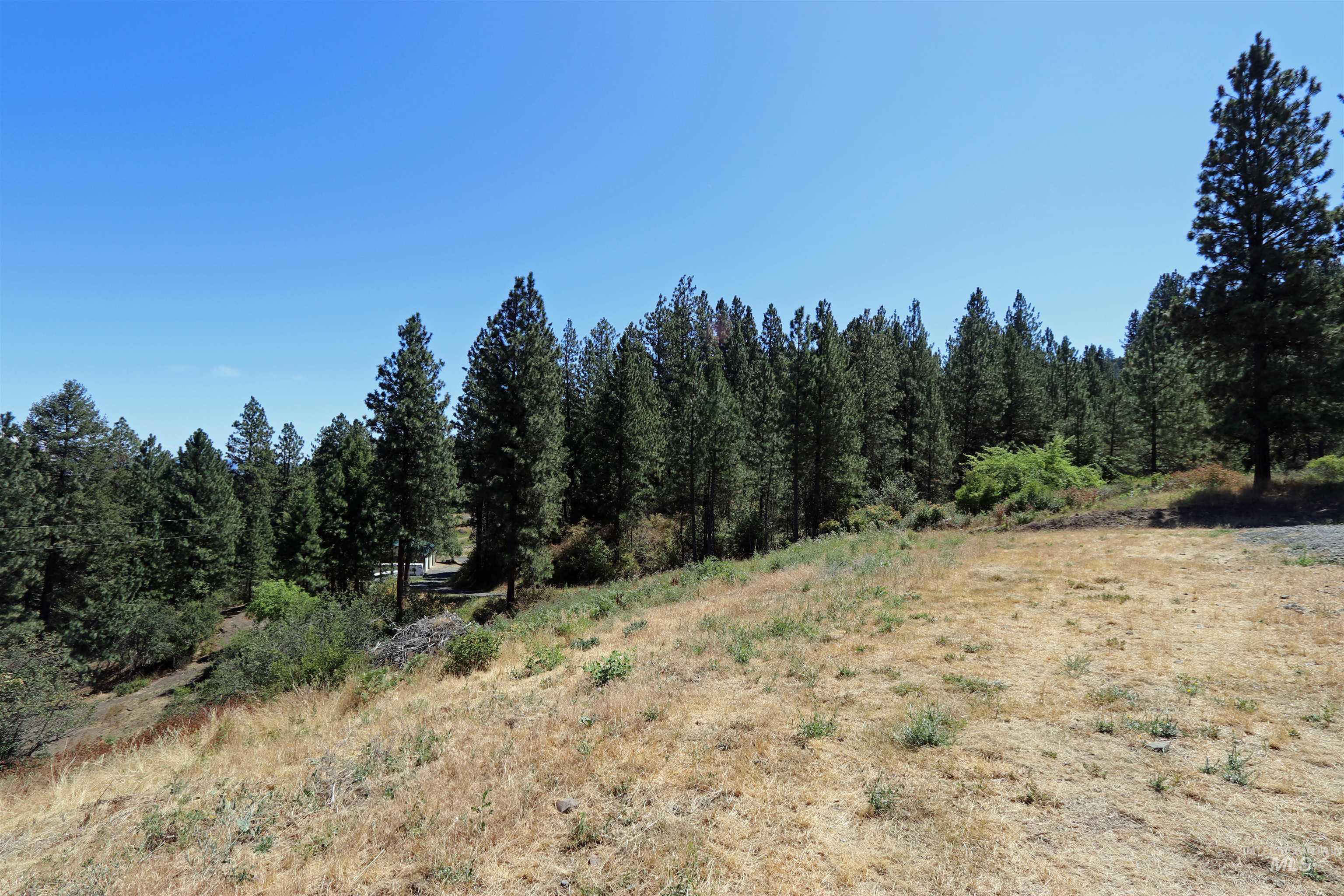 37596 Eberhardt Road Lenore, ID 83541 - Photo 39 of 48