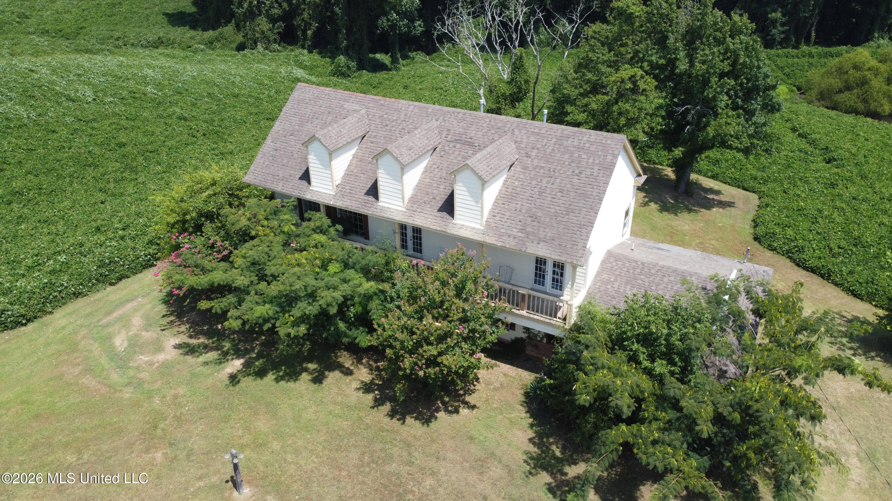 DJI_0539
