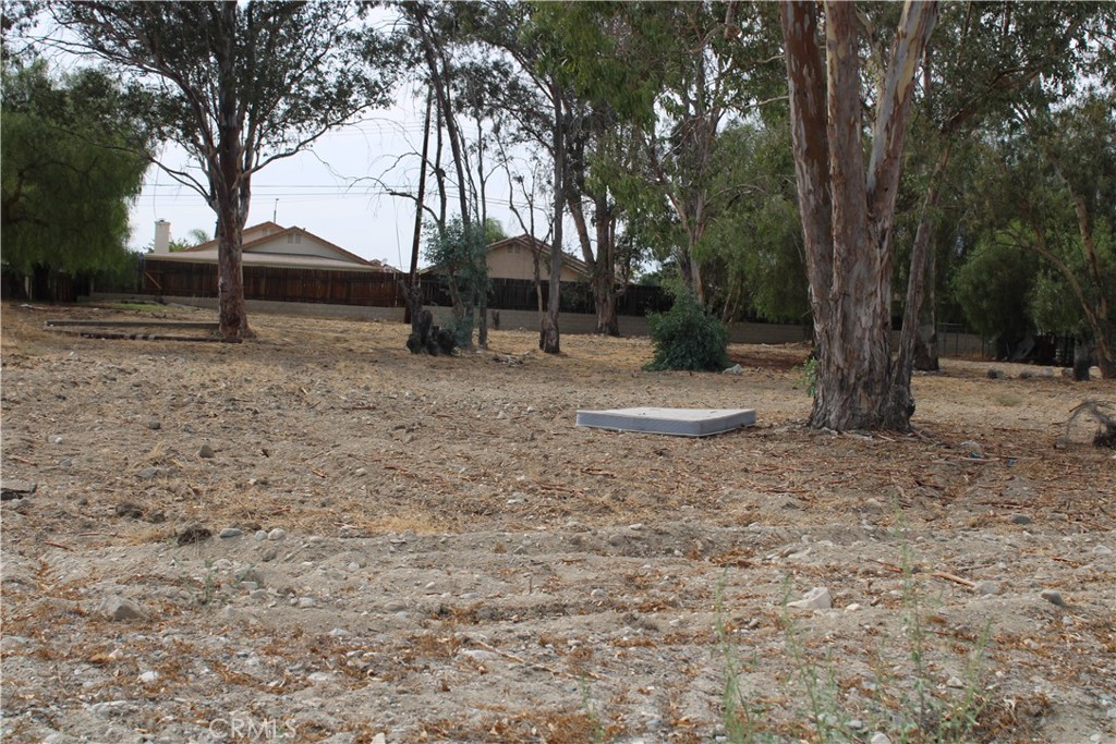1953 North 8th Street Colton, CA 92324 - Photo 11 of 15 a backyard of a house with lots of green space
