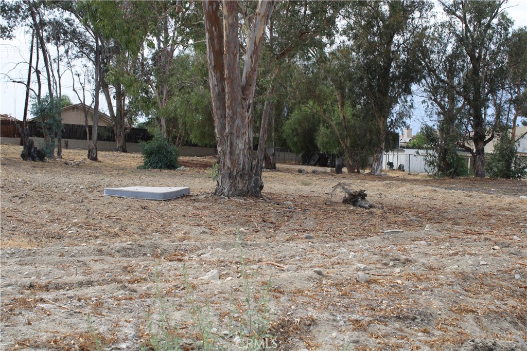1953 North 8th Street Colton, CA 92324 - Photo 12 of 15 a backyard of a house with large trees and outdoor