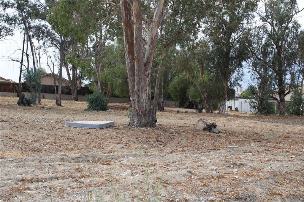 1953 North 8th Street Colton, CA 92324 - Photo 14 of 15 a backyard of a house with lots of green space