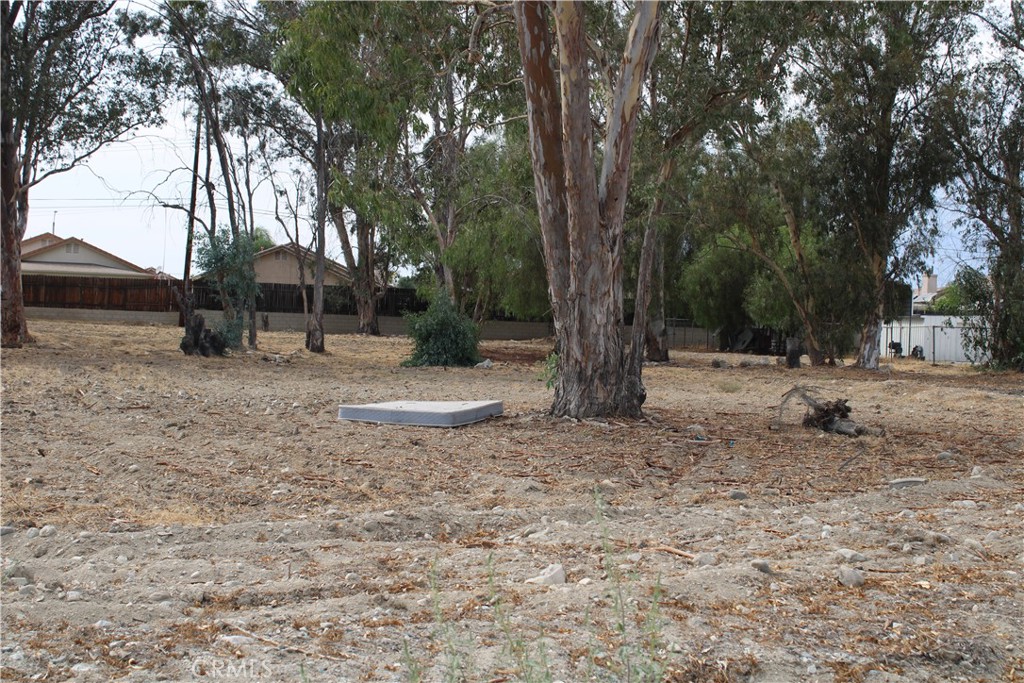 1953 North 8th Street Colton, CA 92324 - Photo 15 of 15 a backyard of a house with lots of green space