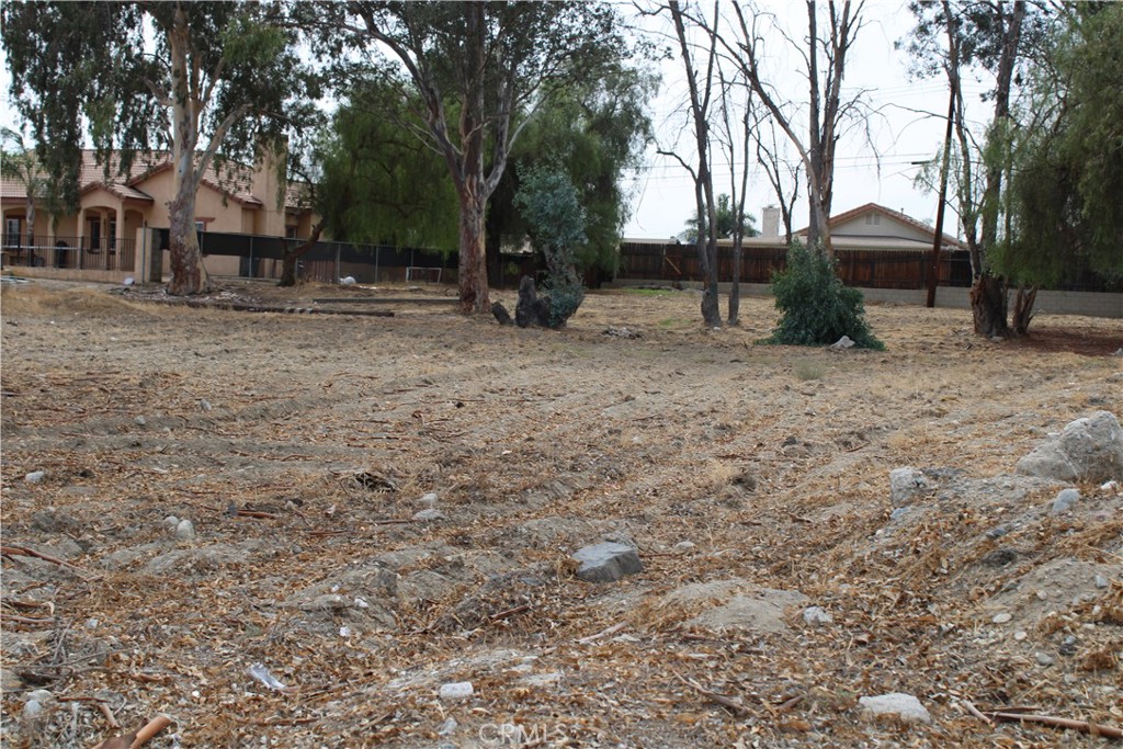 1953 North 8th Street Colton, CA 92324 - Photo 6 of 15 a view of house with a backyard space