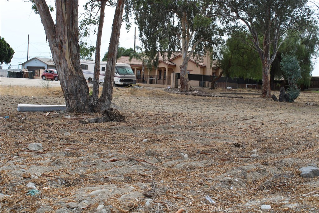 1953 North 8th Street Colton, CA 92324 - Photo 9 of 15 a backyard of a house with lots of green space