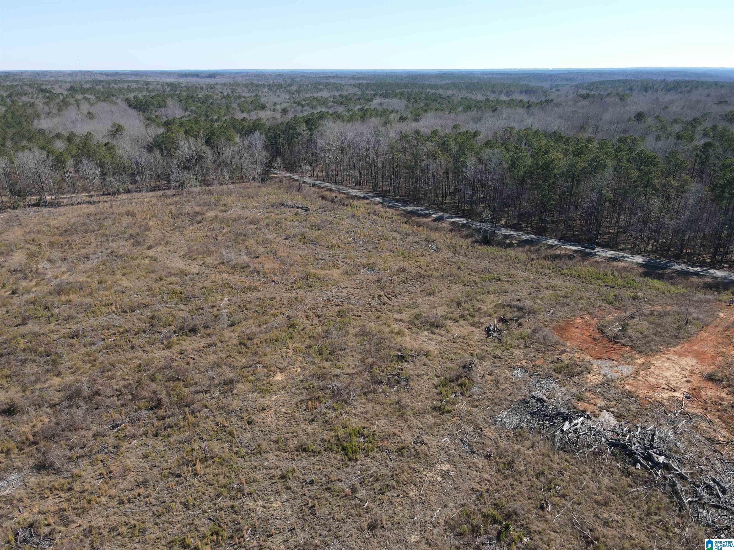 2 County Road 36, Unit 2 Randolph, AL 36792 - Photo 3 of 6
