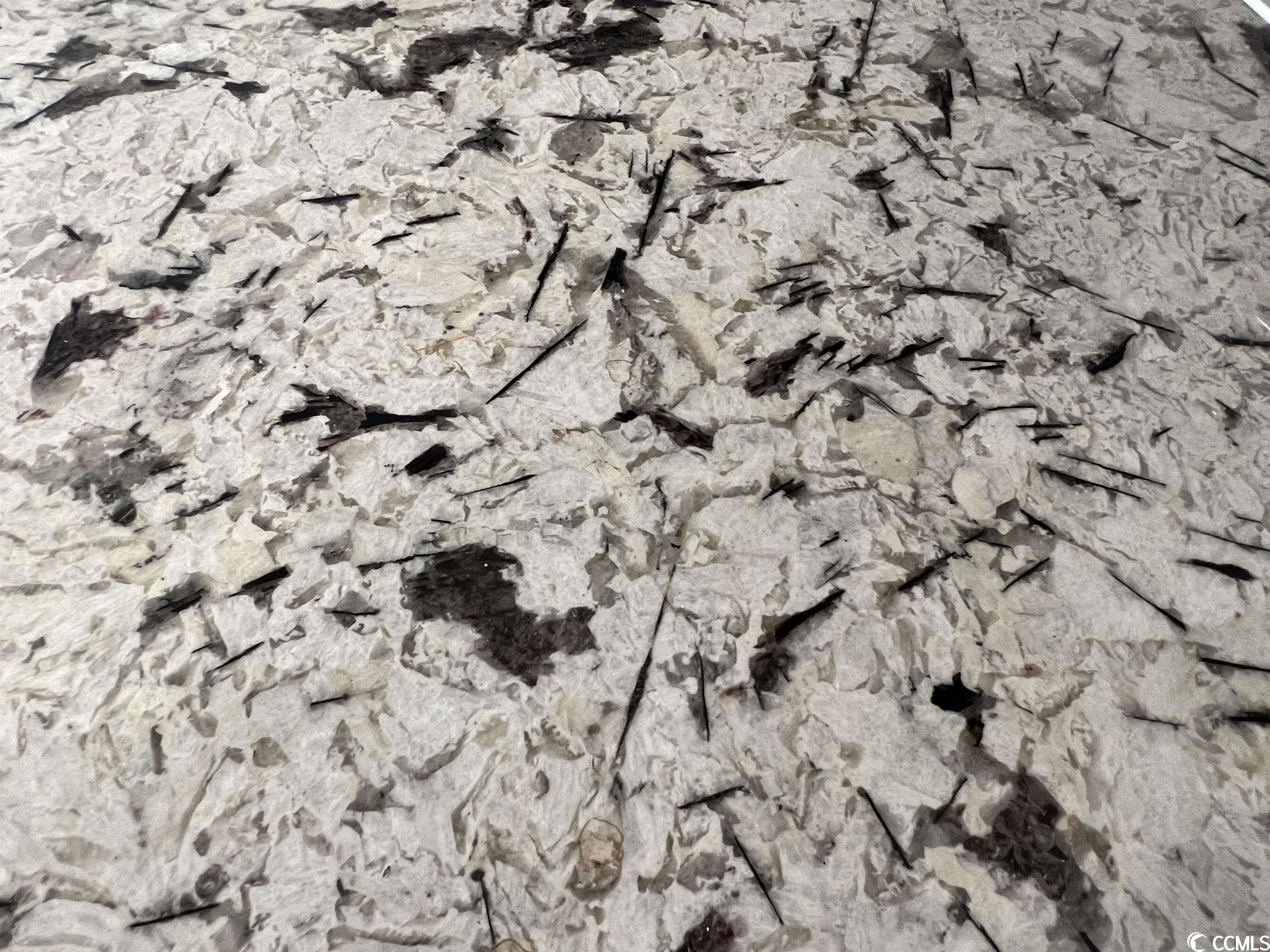 164 Swamp Fox Road Conway, SC 29527 - Photo 10 of 40