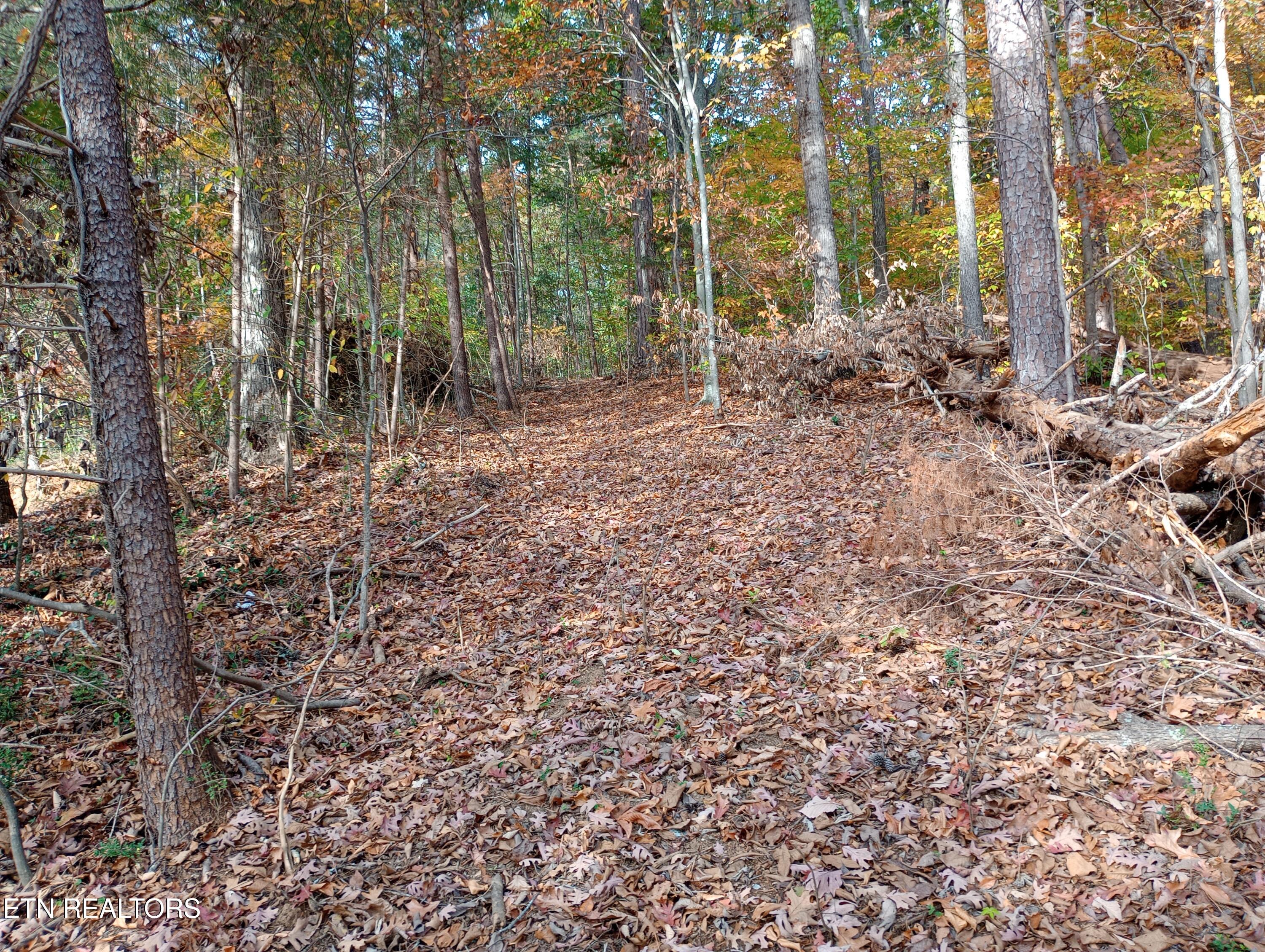 9815 East Brainerd Road Ooltewah, TN 37363 - Photo 38 of 39 Backyard Woods