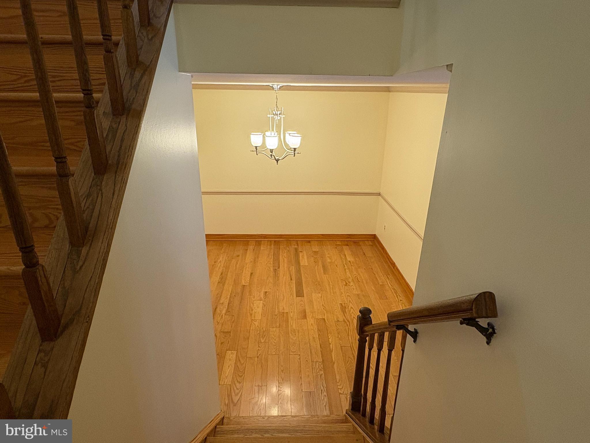 5930 Langton Drive Franconia, VA 22310 - Photo 14 of 33 Stair down View