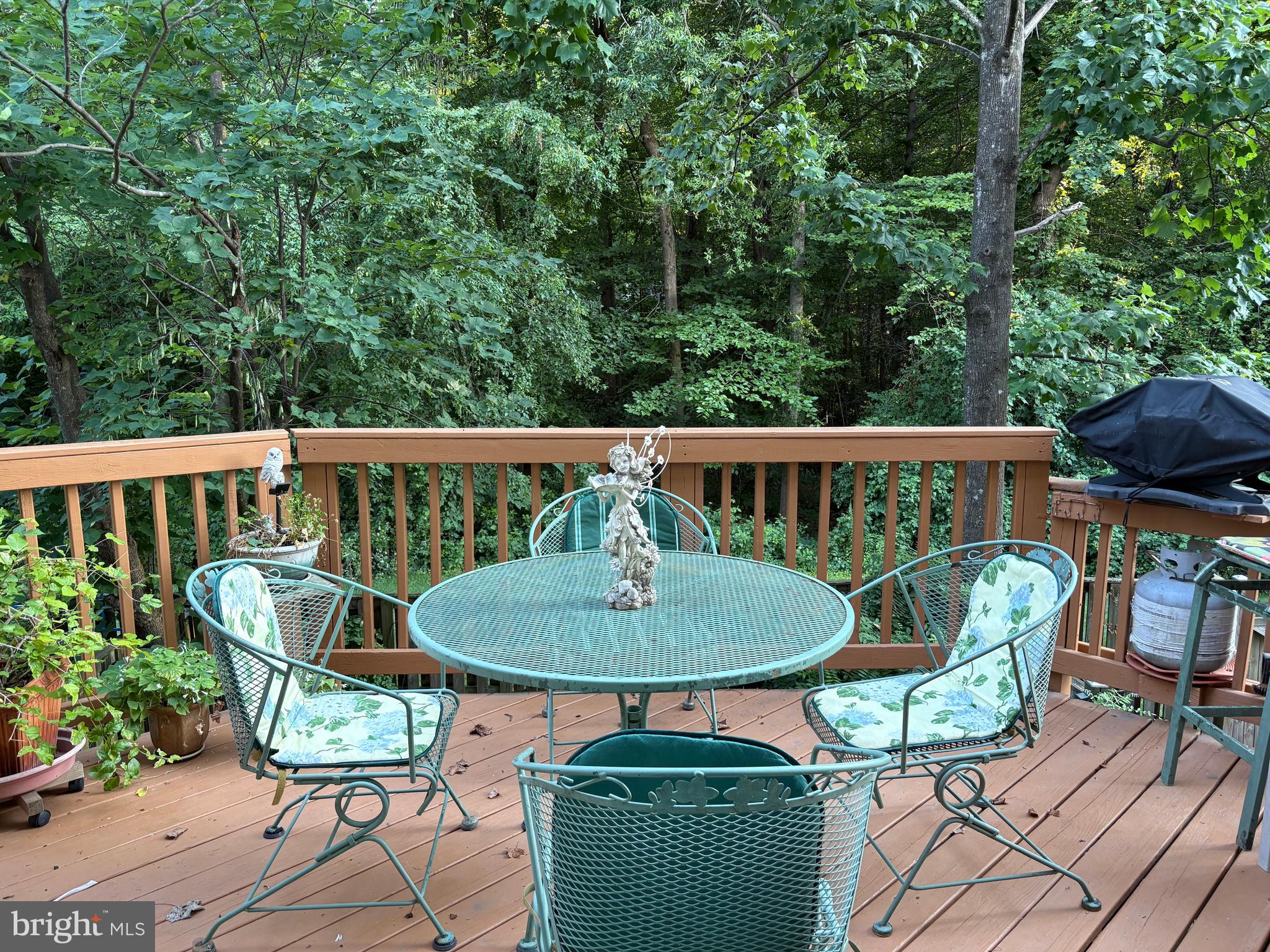 5930 Langton Drive Franconia, VA 22310 - Photo 31 of 33 Deck View