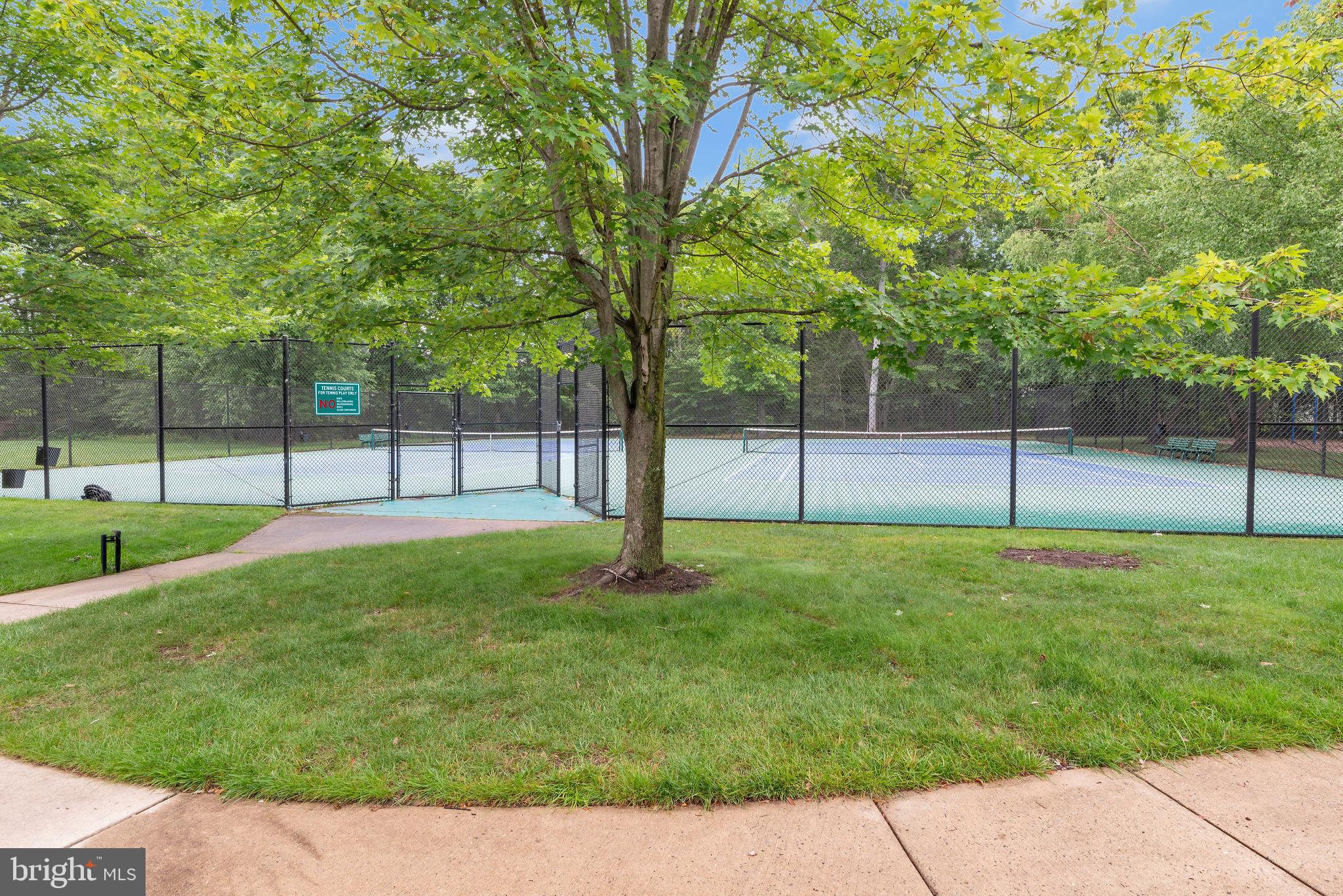 16 Cardiff Court Princeton Junction, NJ 08550 - Photo 55 of 60 a view of a yard with a street