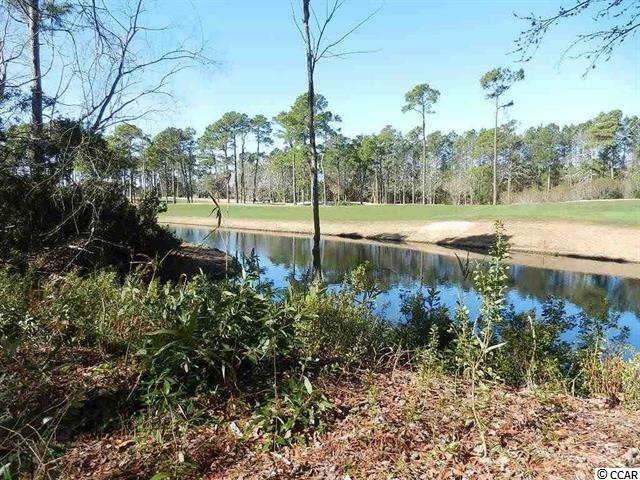 6029 Sandy Miles Way Myrtle Beach, SC 29577 - Photo 3 of 6 Gallery Image 3