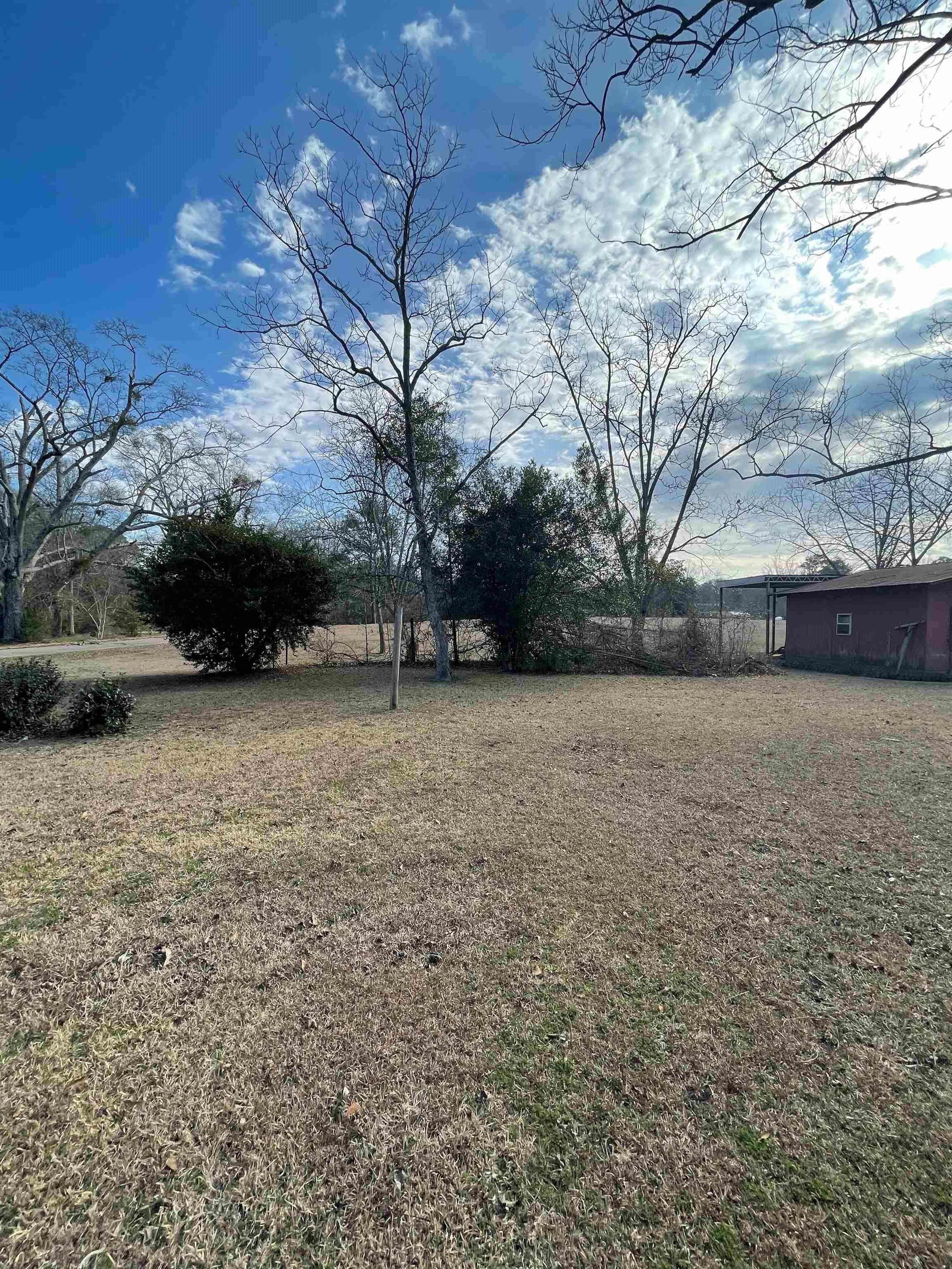 809 8th Street Opp, AL 36467 - Photo 4 of 19 Gallery Image 4
