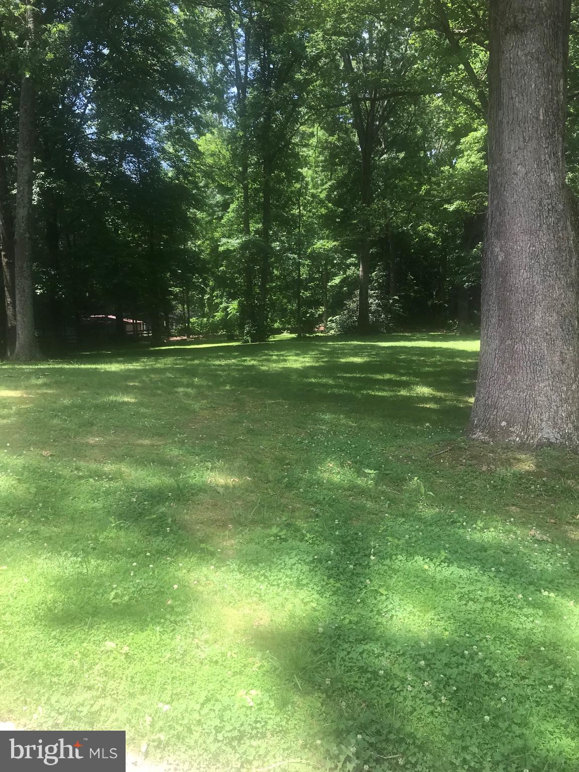 6236 Belleair Road Burke, VA 22015 - Photo 11 of 12 Backyard view