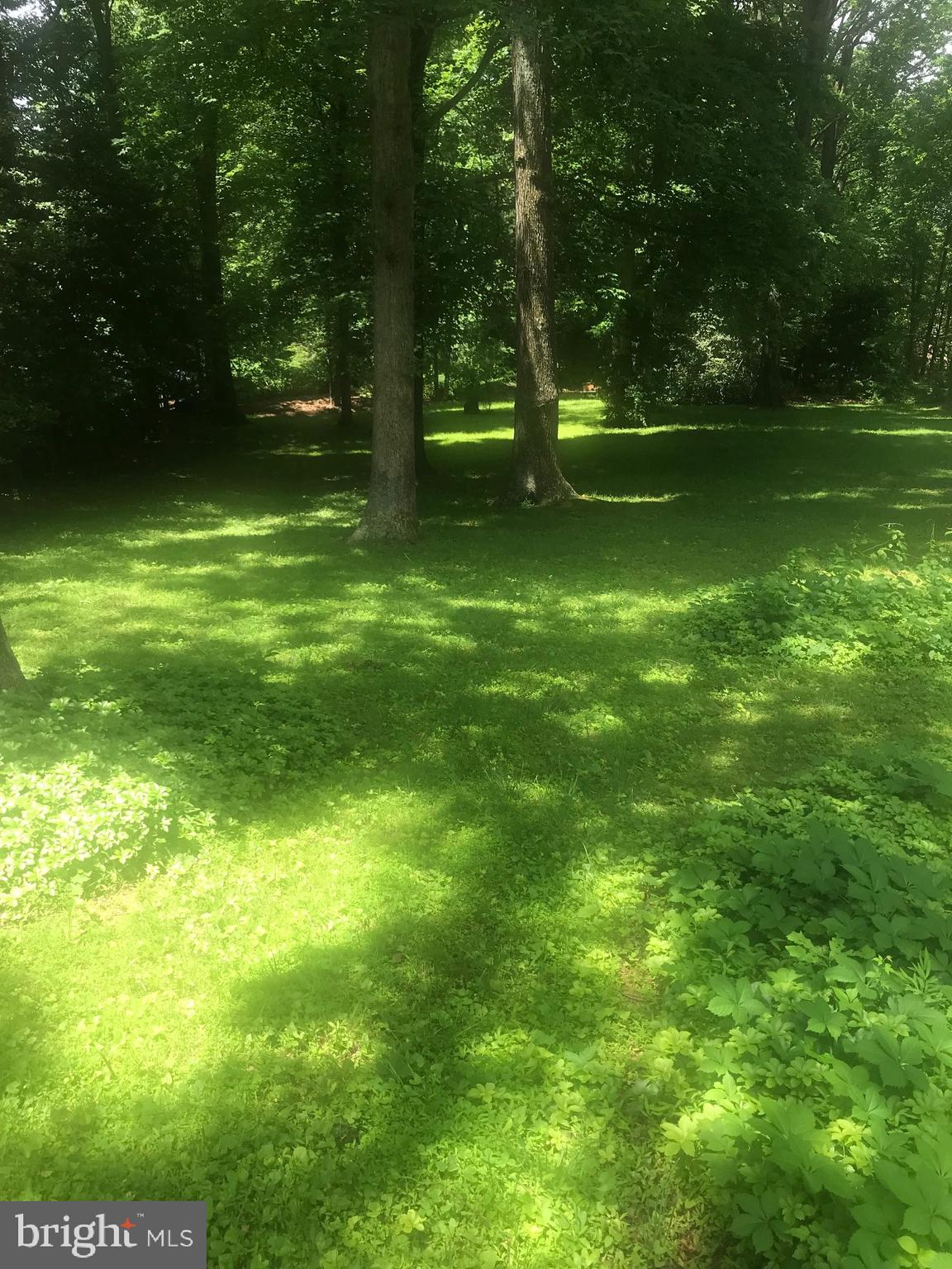 6236 Belleair Road Burke, VA 22015 - Photo 12 of 12 Backyard view