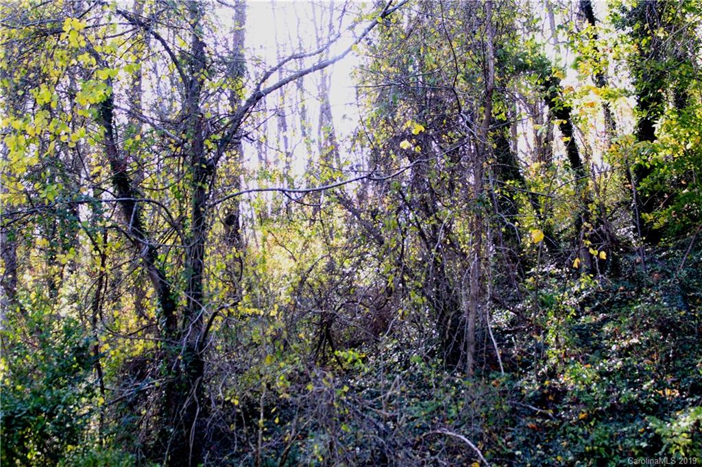 83 Spooks Branch Road Asheville, NC 28804 - Photo 26 of 26 Gallery Image 26