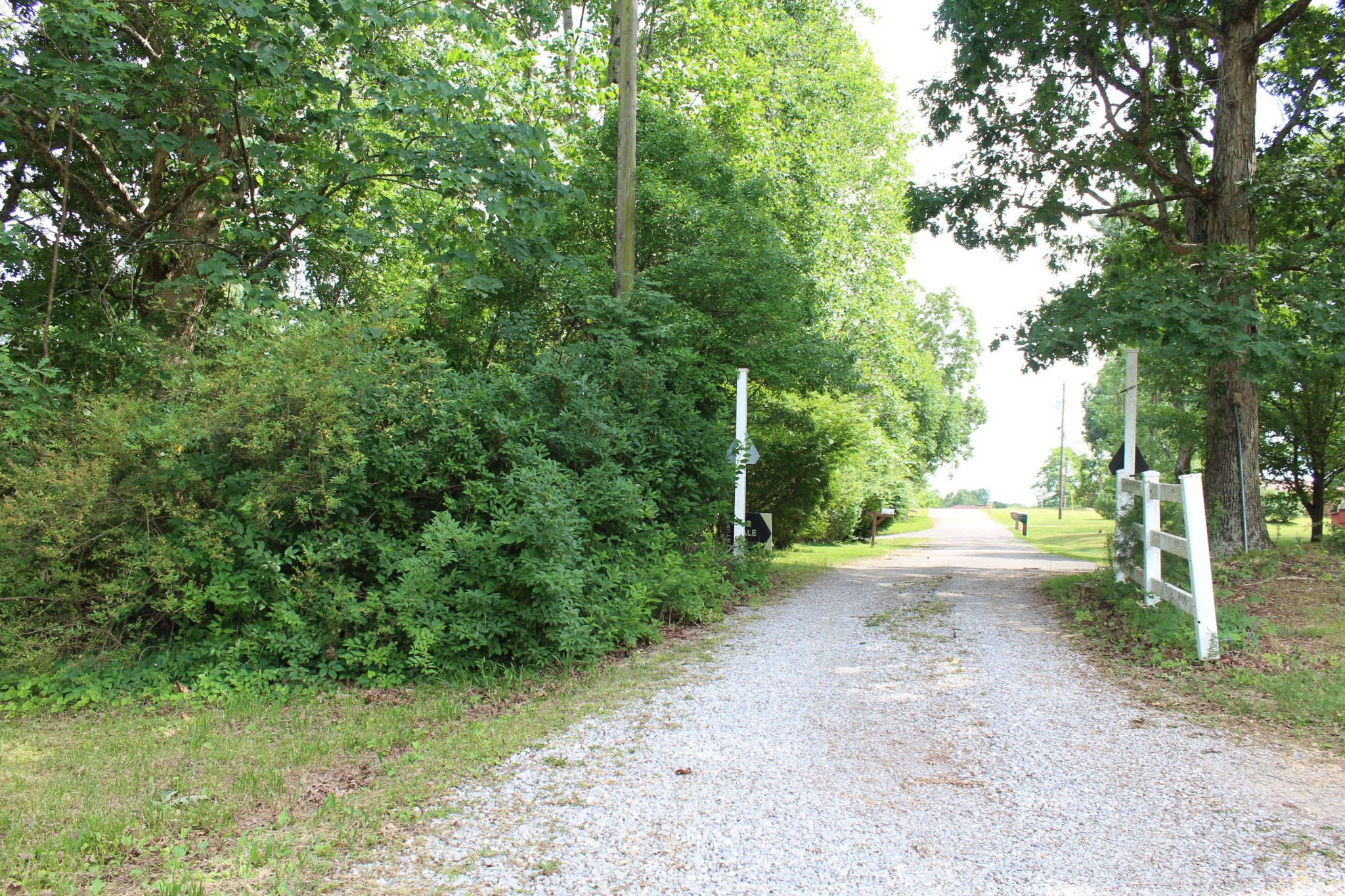 110 Towering Oaks Road Tennessee Ridge, TN 37178 - Photo 34 of 48