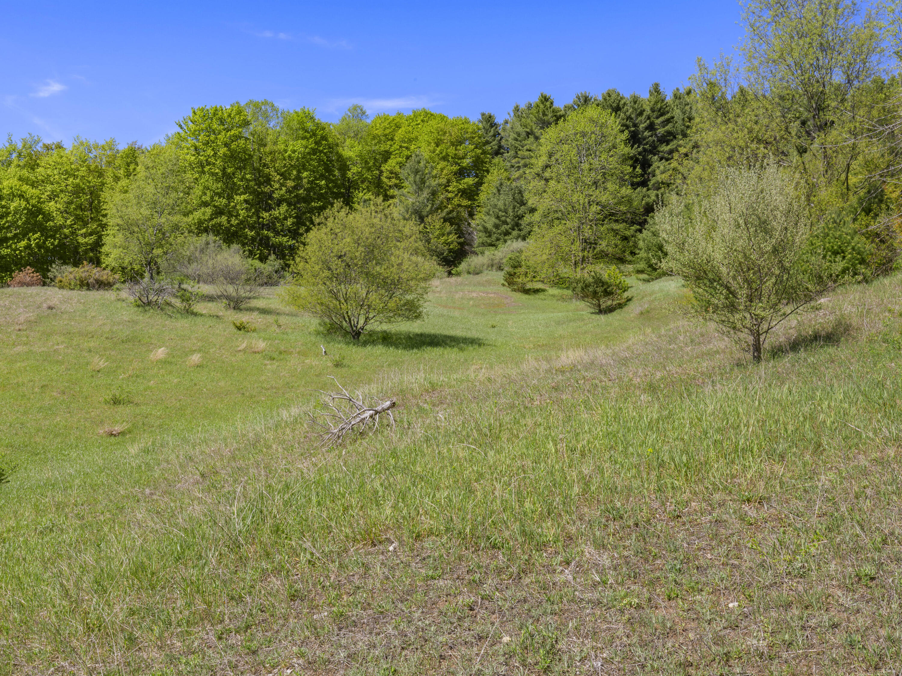 0 Airport Road Frankfort, MI 49635 - Photo 7 of 12 0S5A7839