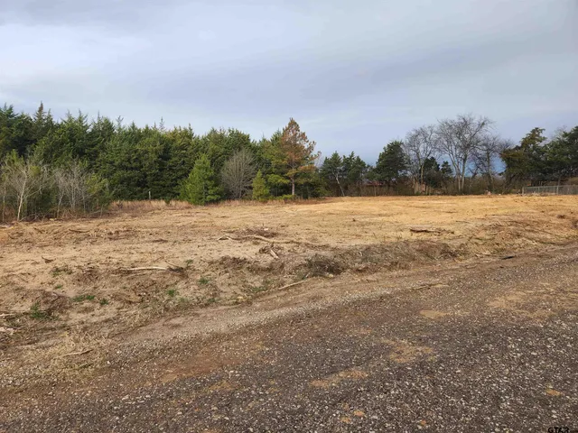 a view of an ocean beach