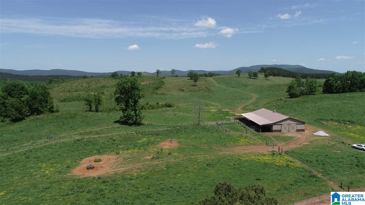 31 County Road Ashland, AL 36251 - Photo 37 of 38