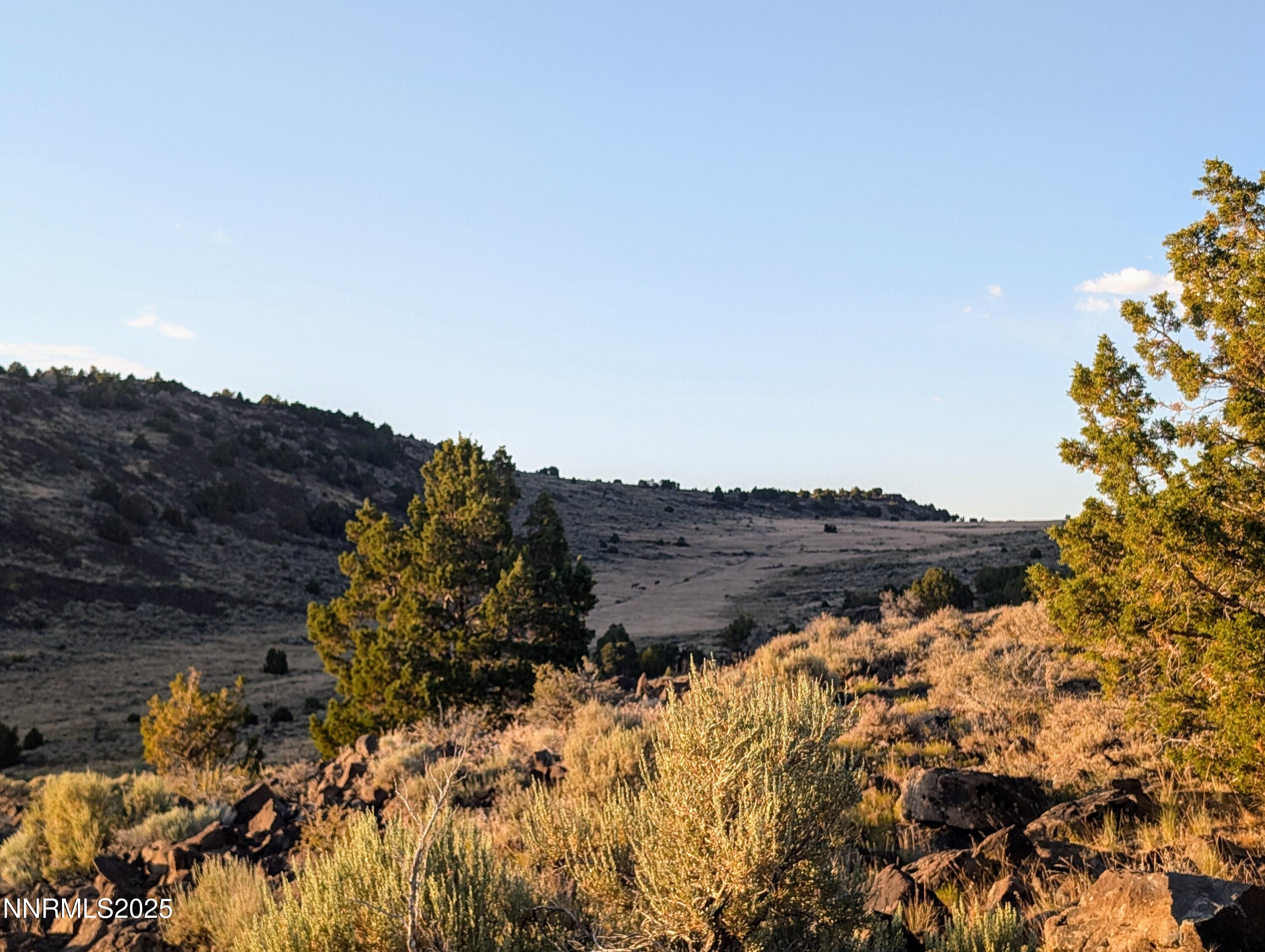 2980 North Star Road Reno, NV 89521 - Photo 3 of 6 a view of a mountain in a field