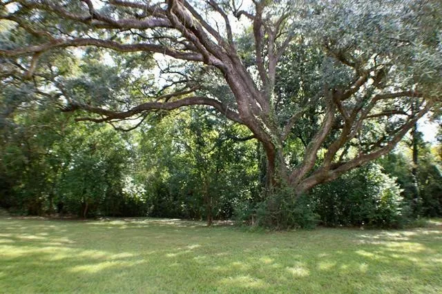 a view of a green field with lots of trees